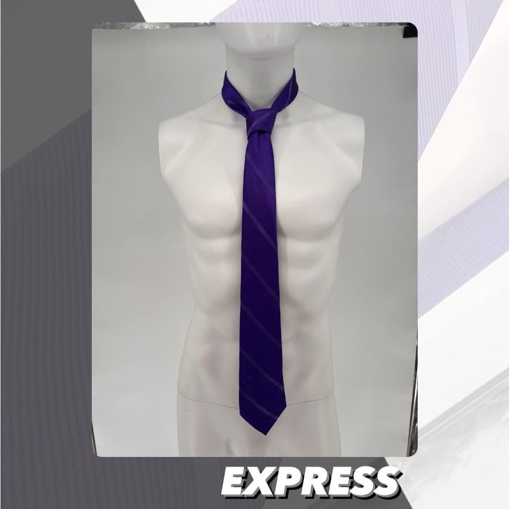 EUC Express Diagonal Striped Tie